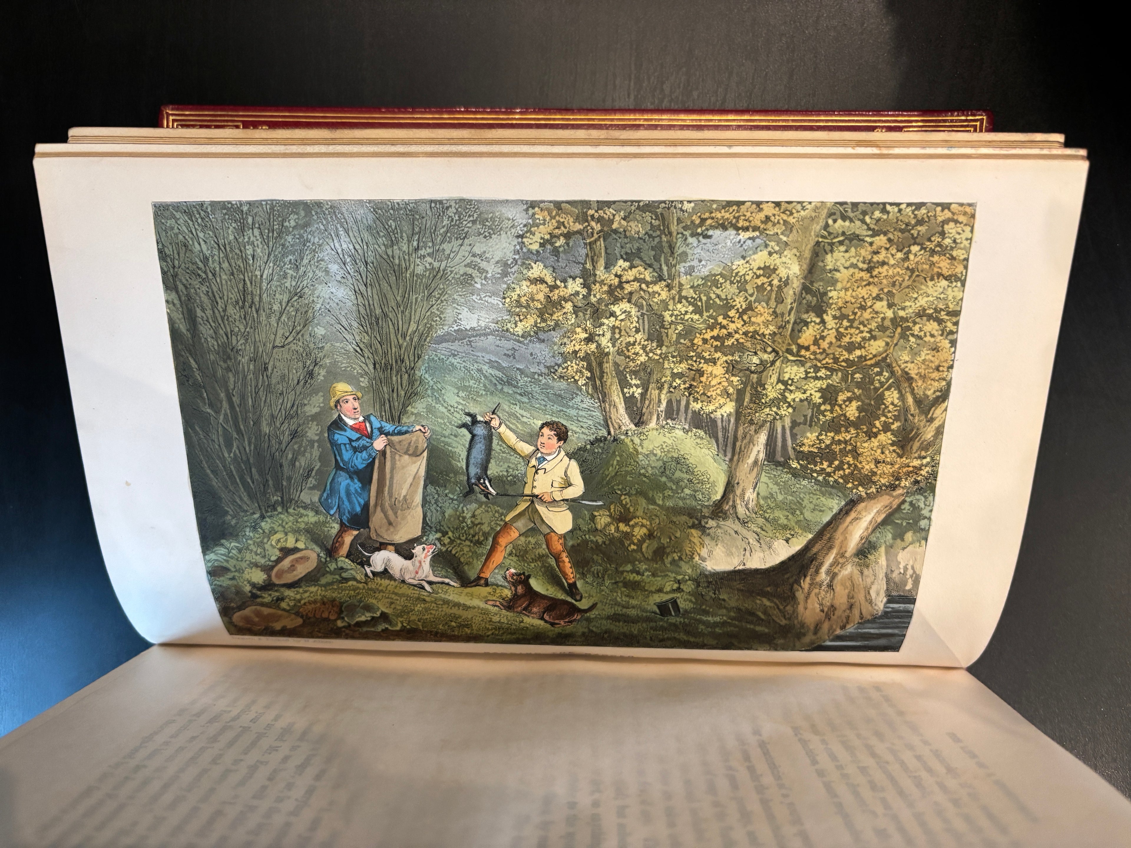 The Life Of A Sportsman