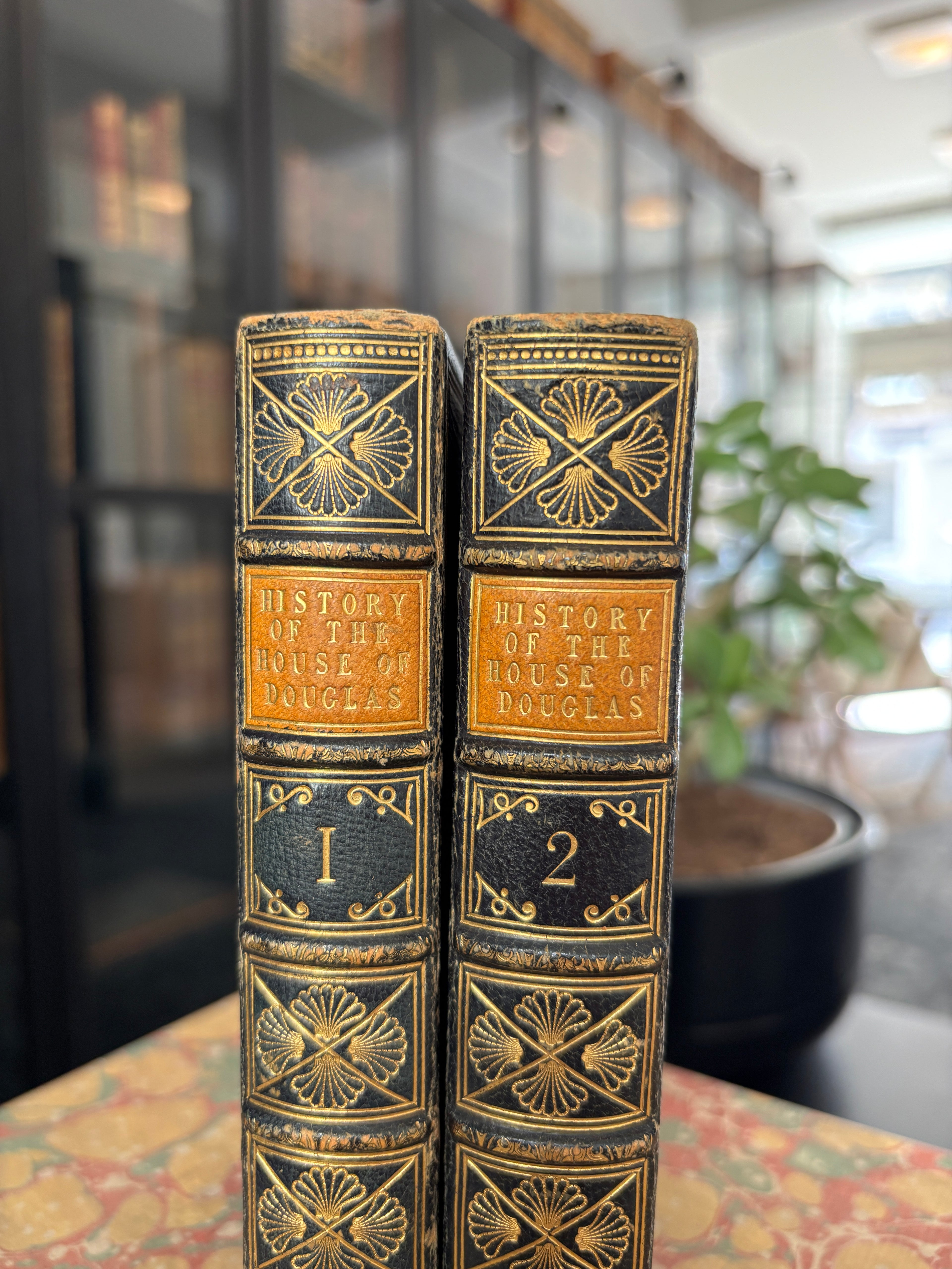 The History Of The House Of Douglas