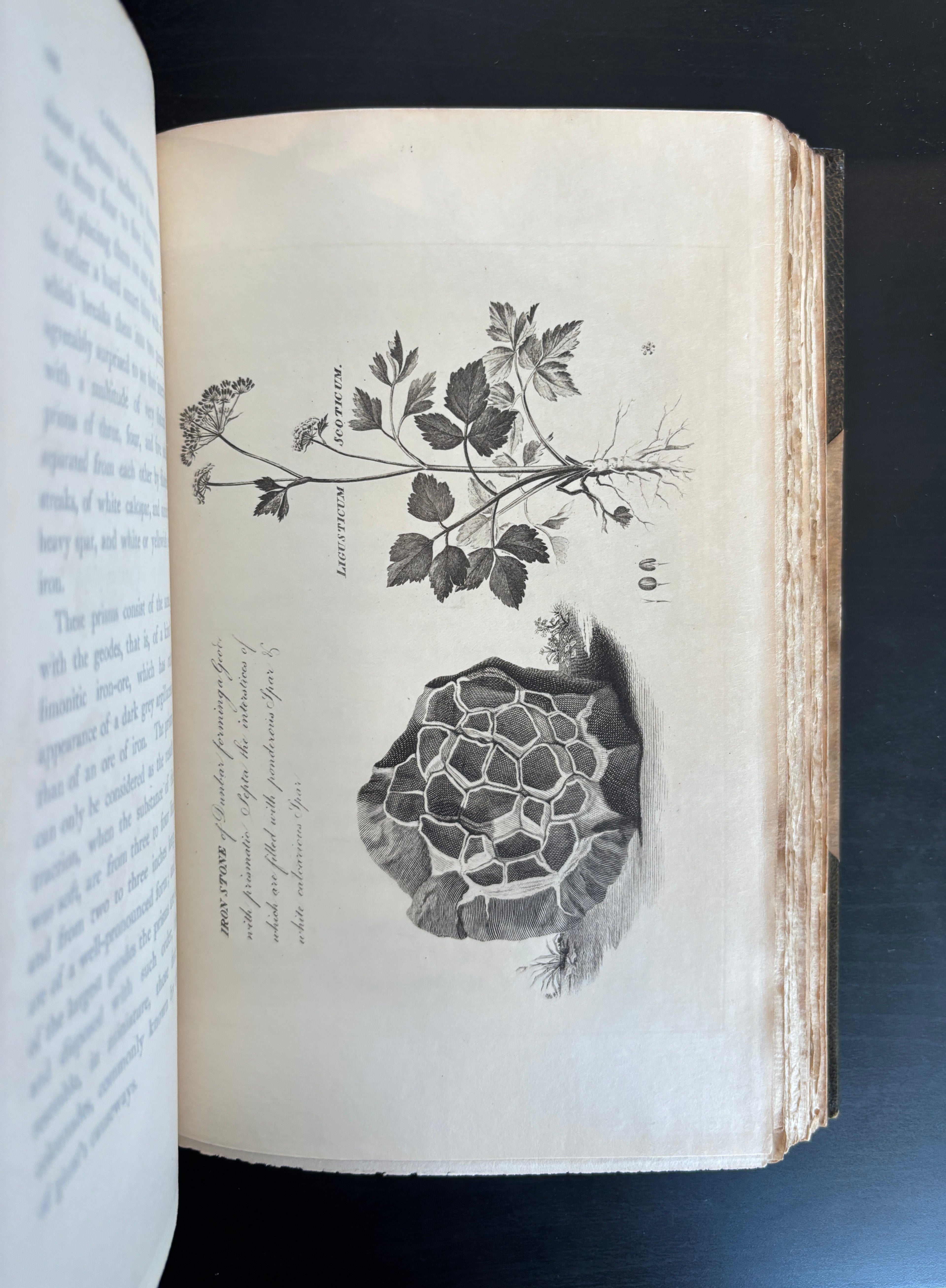 Saint Fond Travels in England and Scotland 1784