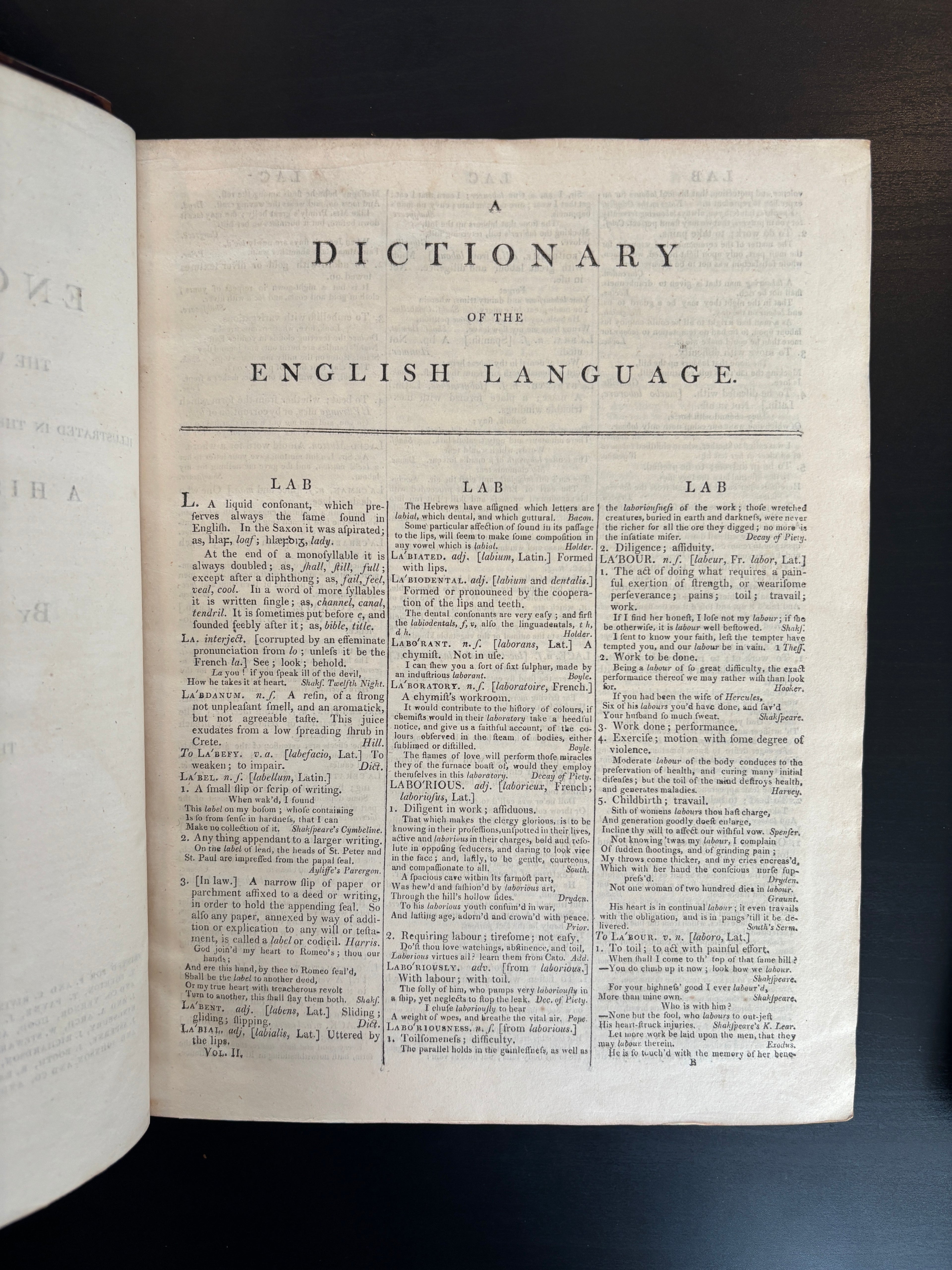 Samuel Johnson's Dictionary of the English Language 1810
